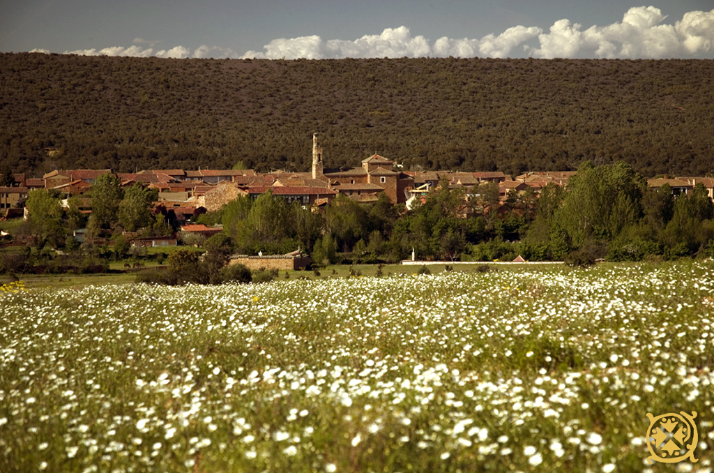 la-lecheria-val-de-sanlorenzo-paisaje