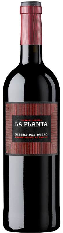La Planta 60_La-Lecheria_val_de_san_lorenzo lalecheria laplanta_La-Lecheria_val_de_san_lorenzo