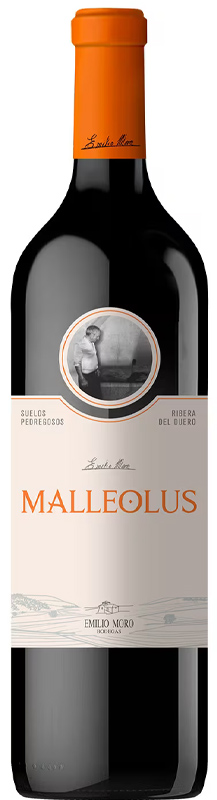 malleolus la lecheria_La-Lecheria_val_de_san_lorenzo